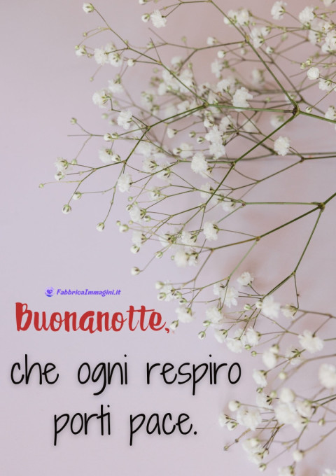 Buonanotte, che ogni respiro porti pace