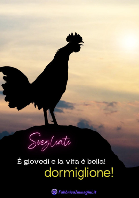 Svegliati, dormiglione! È giovedì e la vita è bella!