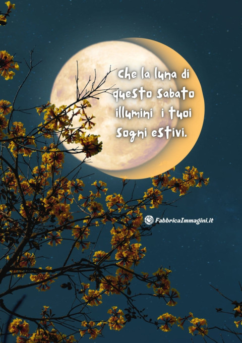 Che la luna di questo sabato illumini i tuoi sogni estivi