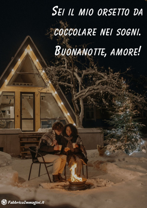 Sei il mio orsetto da coccolare nei sogni Buonanotte, amore!