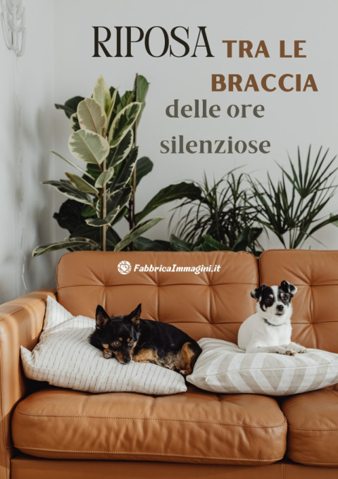 Riposa tra le braccia delle ore silenziose