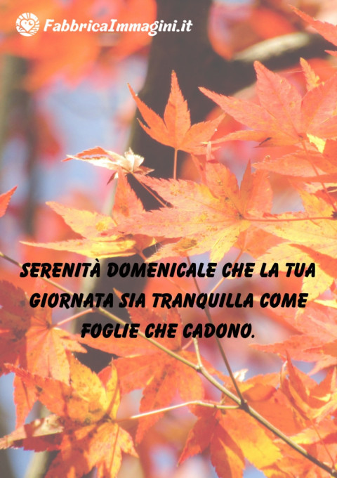 Serenità domenicale che la tua giornata sia tranquilla come foglie che cadono