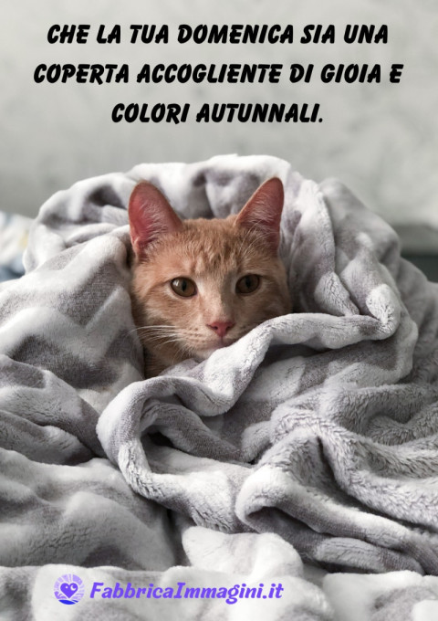 Che la tua domenica sia una coperta accogliente di gioia e colori autunnali