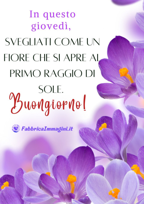 In questo giovedì, svegliati come un fiore che si apre al primo raggio di sole Buongiorno!