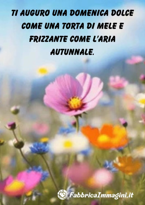 Ti auguro una domenica dolce come una torta di mele e frizzante come l’aria autunnale