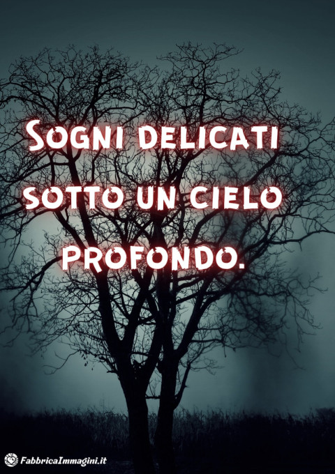 Sogni delicati sotto un cielo profondo