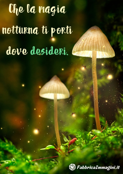 Che la magia notturna ti porti dove desideri