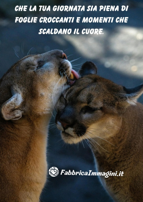 Che la tua giornata sia piena di foglie croccanti e momenti che scaldano il cuore