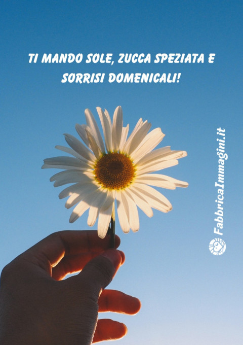 Ti mando sole, zucca speziata e sorrisi domenicali!