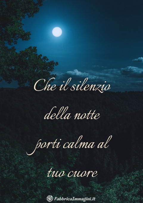 Che il silenzio della notte porti calma al tuo cuore