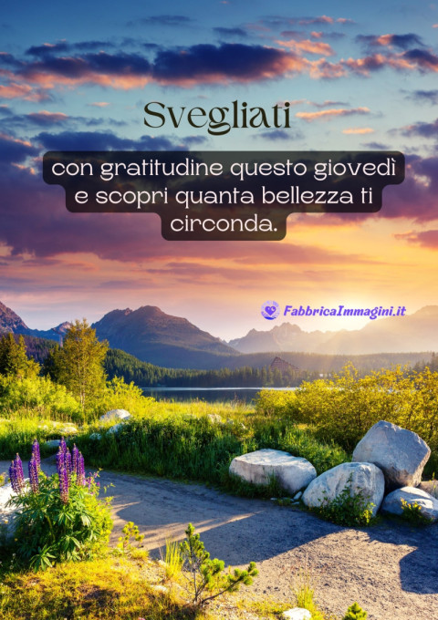 Svegliati con gratitudine questo giovedì e scopri quanta bellezza ti circonda