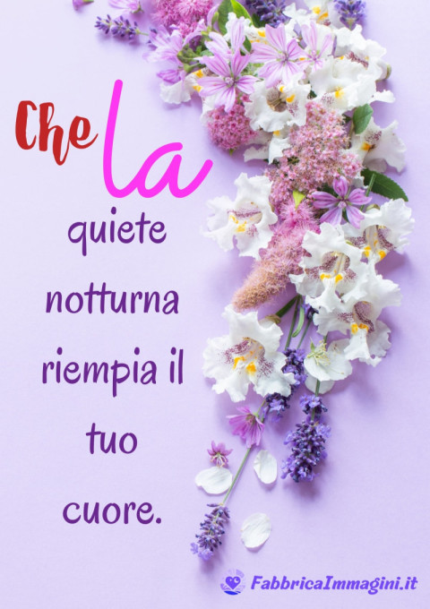 Che la quiete notturna riempia il tuo cuore