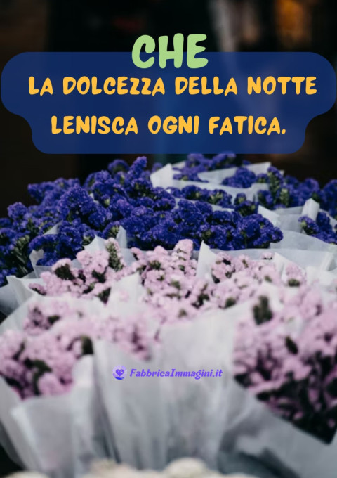 Che la dolcezza della notte lenisca ogni fatica