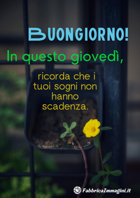 Buongiorno! In questo giovedì, ricorda che i tuoi sogni non hanno scadenza