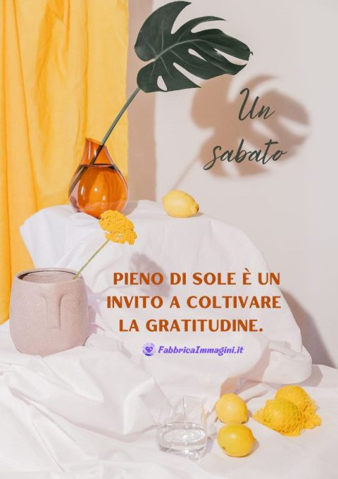 Un sabato pieno di sole è un invito a coltivare la gratitudine