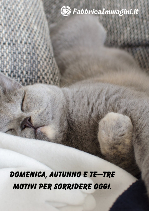 Domenica, autunno e te tre motivi per sorridere oggi