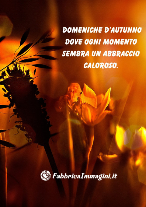 Domeniche d’autunno dove ogni momento sembra un abbraccio caloroso