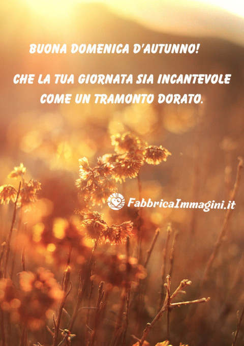 Buona domenica d’autunno! Che la tua giornata sia incantevole come un tramonto dorato