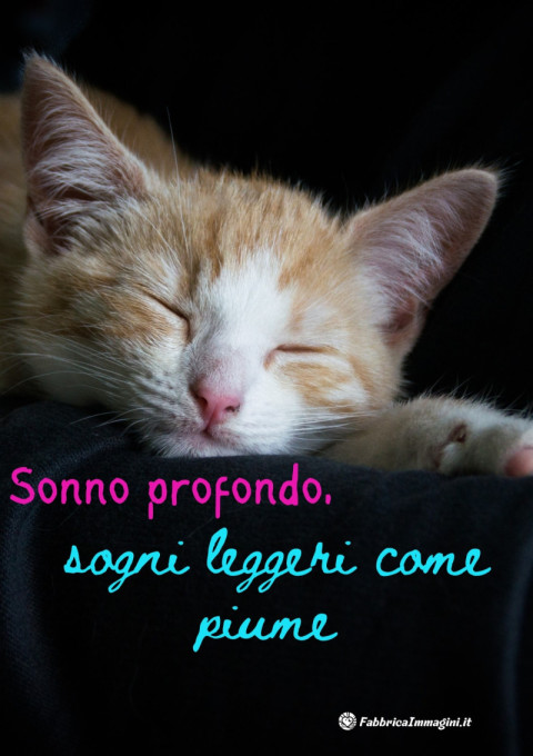 Sonno profondo, sogni leggeri come piume
