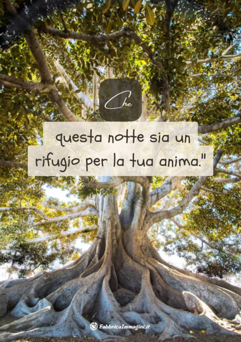 Che questa notte sia un rifugio per la tua anima