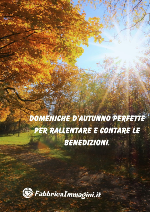 Domeniche d’autunno perfette per rallentare e contare le benedizioni