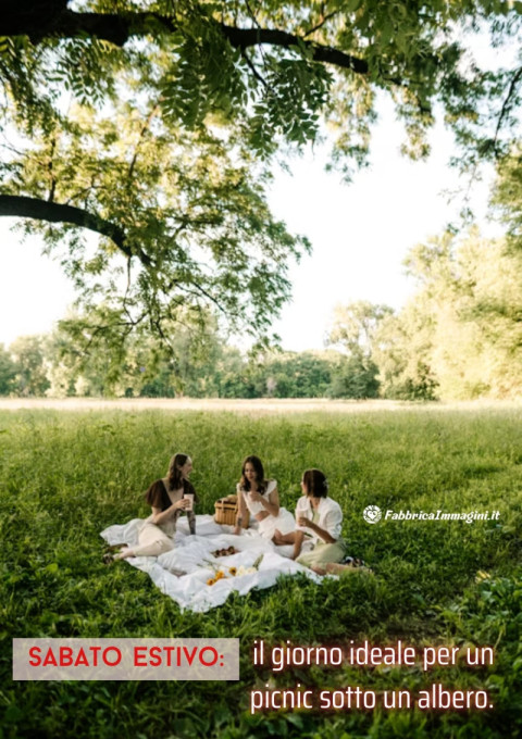 Sabato estivo il giorno ideale per un picnic sotto un albero
