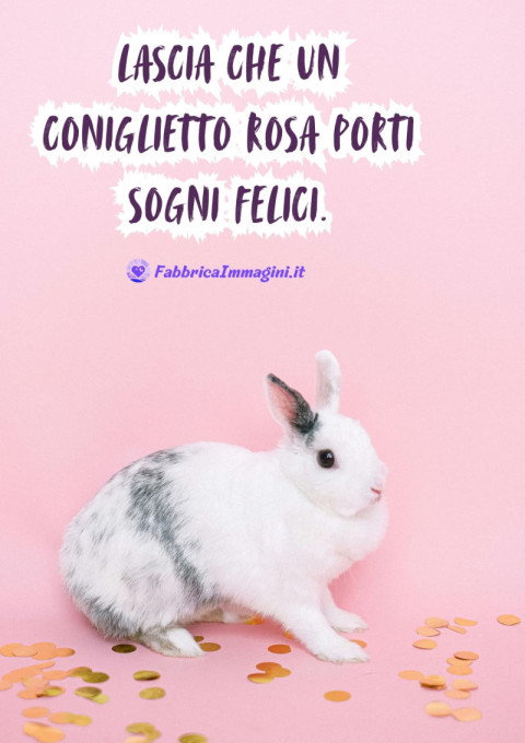 Lascia che un coniglietto rosa porti sogni felici