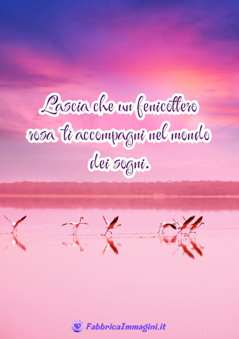 Lascia che un fenicottero rosa ti accompagni nel mondo dei sogni