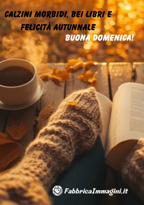 Calzini morbidi, bei libri e felicità autunnale buona domenica!