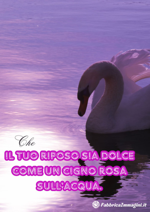 Che il tuo riposo sia dolce come un cigno rosa sull’acqua