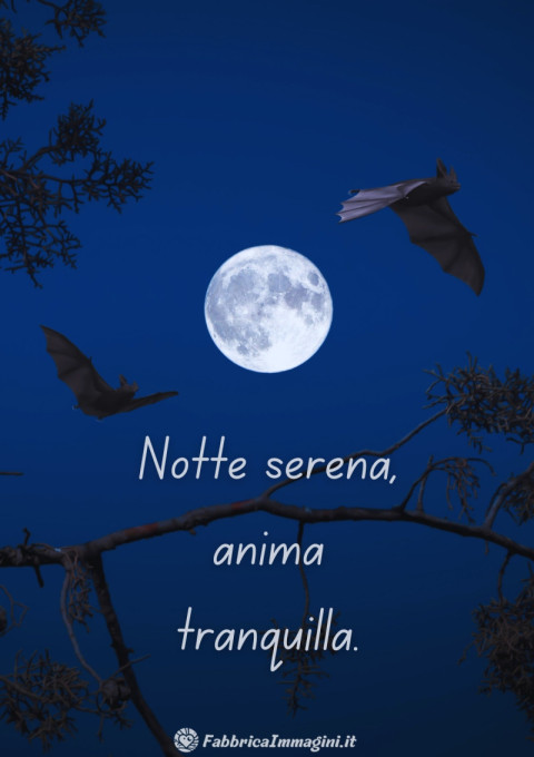 Notte serena, anima tranquilla