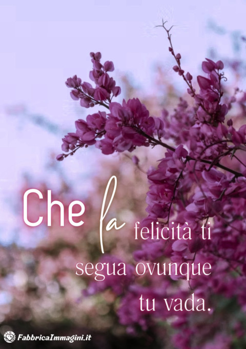 Che la felicità ti segua ovunque tu vada