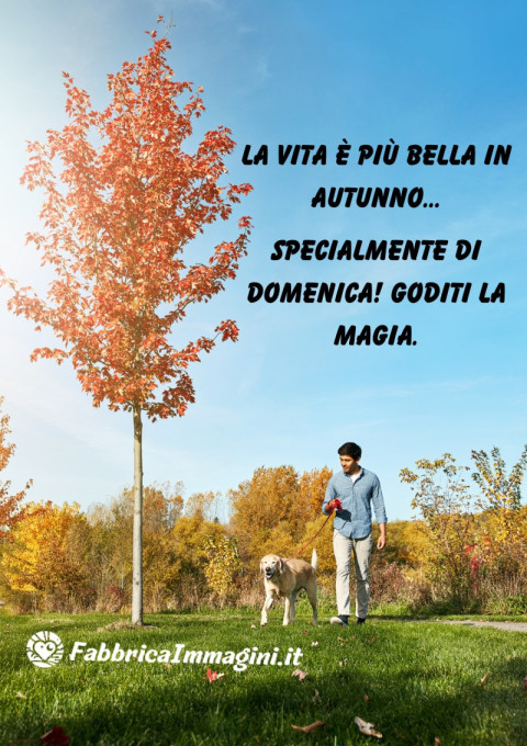 La vita è più bella in autunno… specialmente di domenica! Goditi la magia