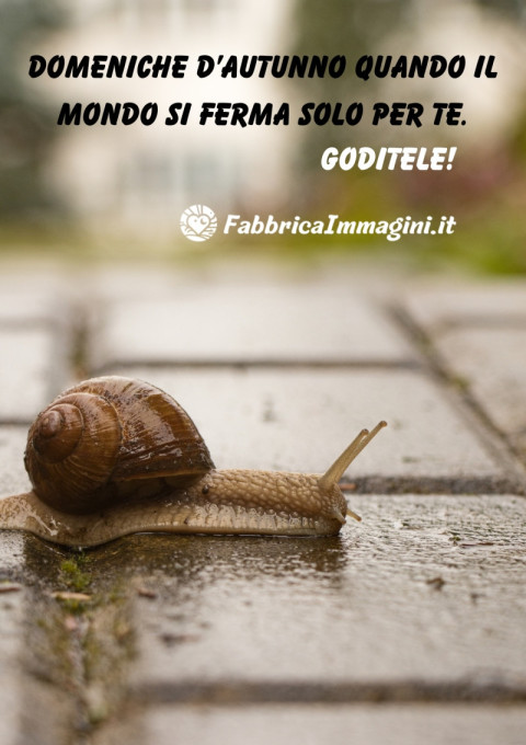 Domeniche d’autunno quando il mondo si ferma solo per te Goditele!