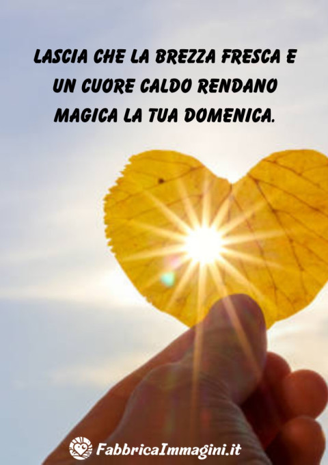 Lascia che la brezza fresca e un cuore caldo rendano magica la tua domenica