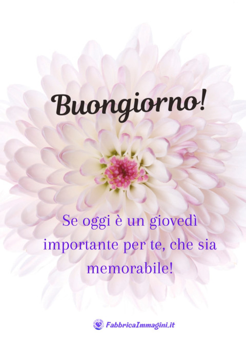 Buongiorno! Se oggi è un giovedì importante per te, che sia memorabile!