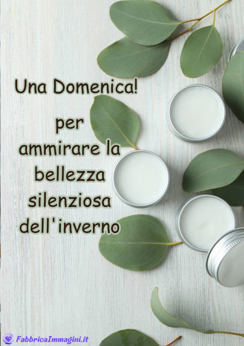 Una domenica per ammirare la bellezza silenziosa dell'inverno