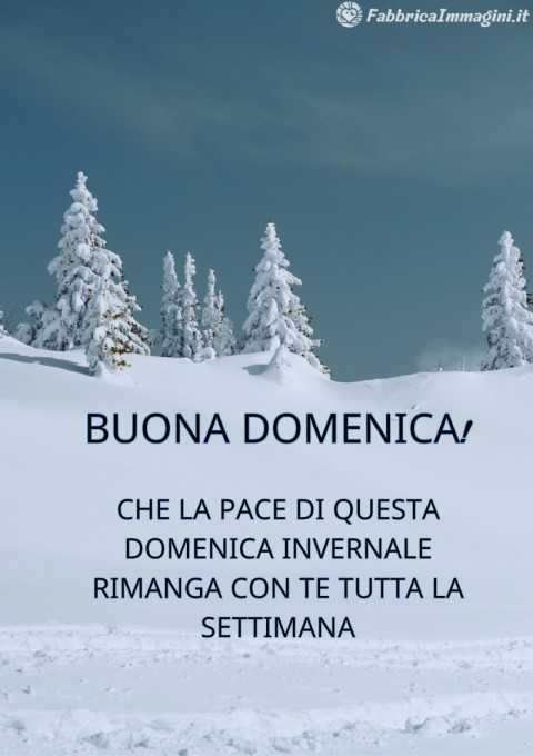Che la pace di questa domenica invernale rimanga con te tutta la settimana