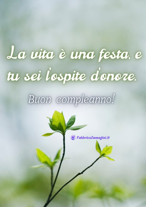 La vita è una festa, e tu sei l'ospite d'onore Buon compleanno!