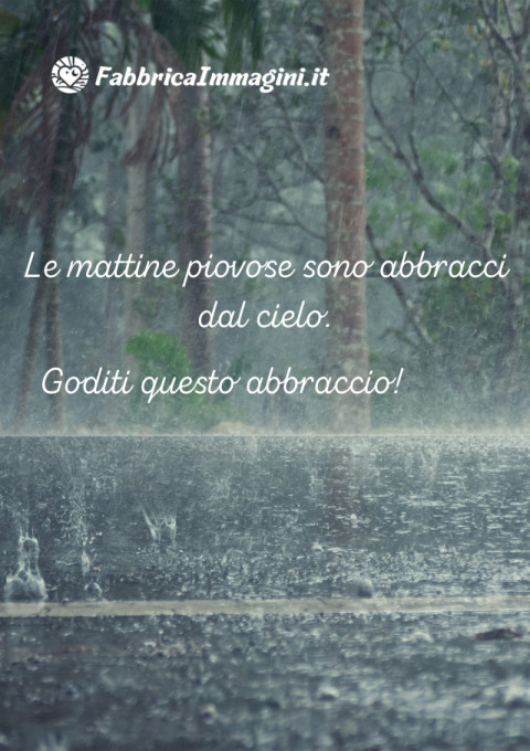 Le mattine piovose sono abbracci dal cielo Goditi questo abbraccio!jpg