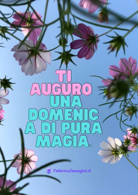 Ti auguro una domenica di pura magia