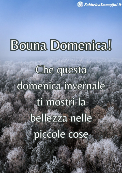 Che questa domenica invernale ti mostri la bellezza nelle piccole cose