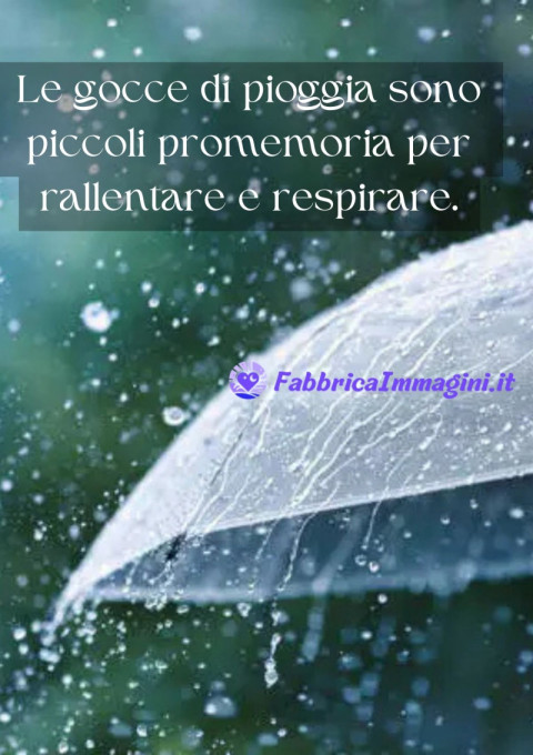Le gocce di pioggia sono piccoli promemoria per rallentare e respirare