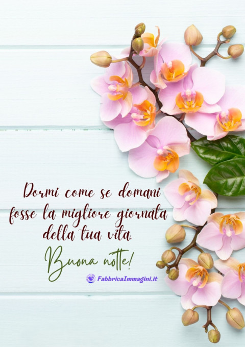 Dormi come se domani fosse la migliore giornata della tua vita Buona notte!
