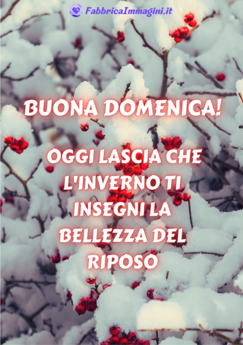 Buona domenica! Oggi lascia che l'inverno ti insegni la bellezza del riposo