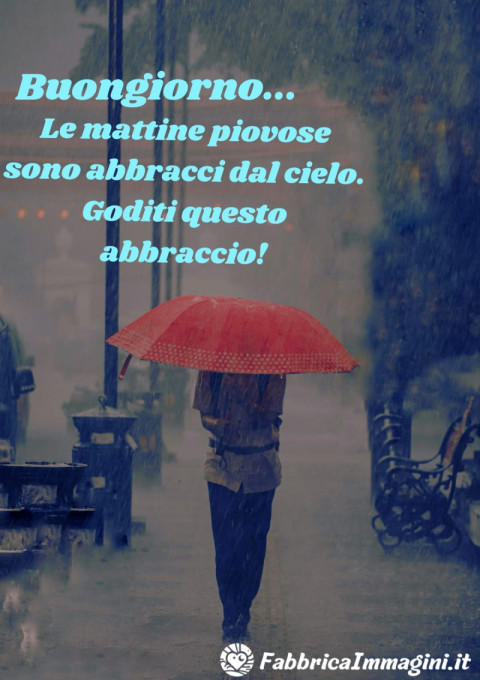 Le mattine piovose sono abbracci dal cielo Goditi questo abbraccio!