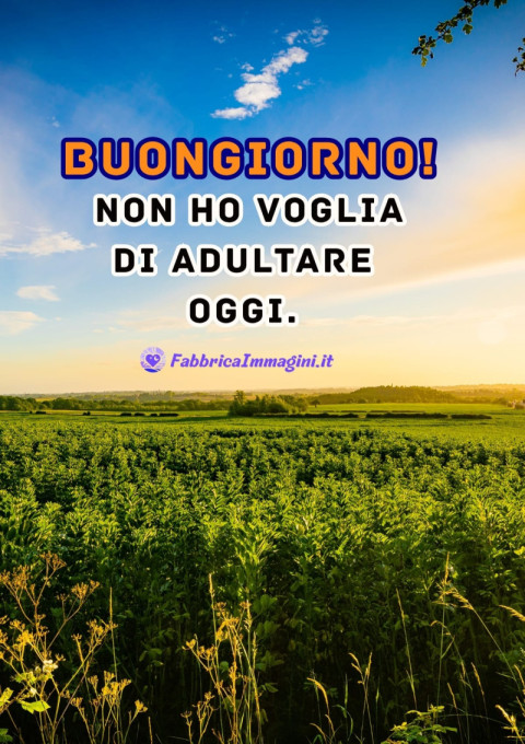 Buongiorno! Non ho voglia di adultare oggi
