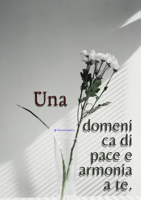 Una domenica di pace e armonia a te