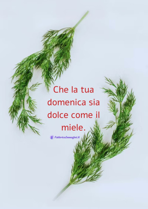 Che la tua domenica sia dolce come il miele