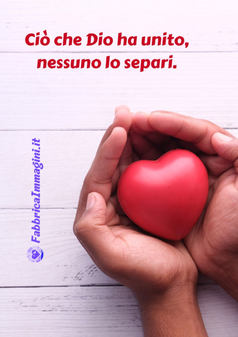 Ciò che Dio ha unito, nessuno lo separi